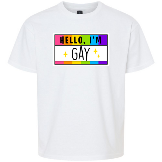 Pride LGBTQIA+ Hello I'm Gay, Trans, Lesbian, Queer, Pansexual, Nonbinary, Bisexual T-Shirt